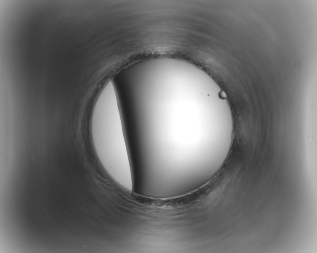 X0000089740640200706210905