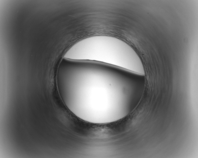 X0000089740642200706210905