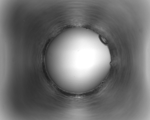 X0000089740647200706210905