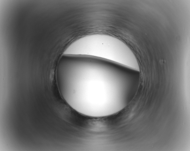 X0000089740652200706210905