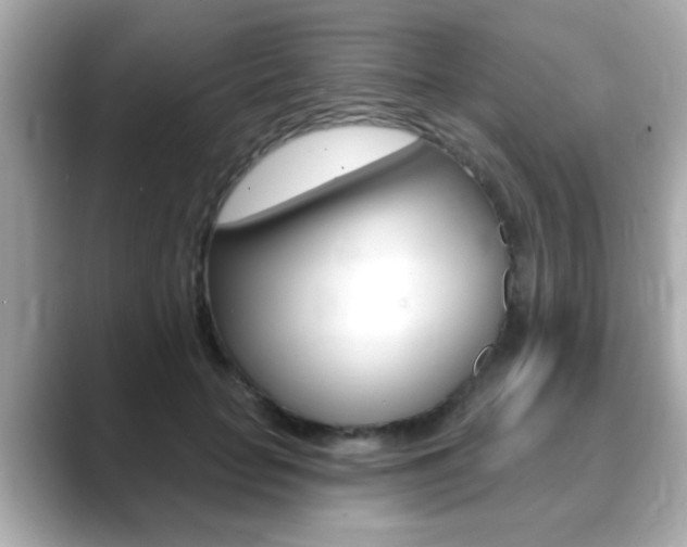 X0000089740653200706210905