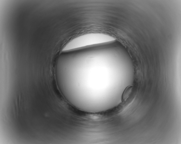 X0000089740654200706210905