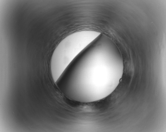 X0000089740655200706210905