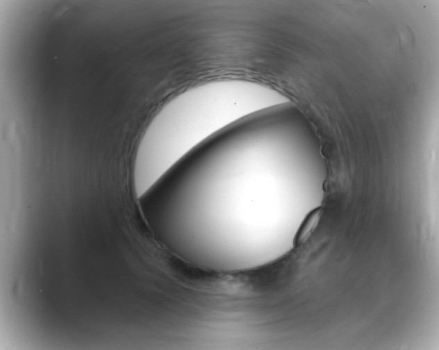 X0000089740656200706210905