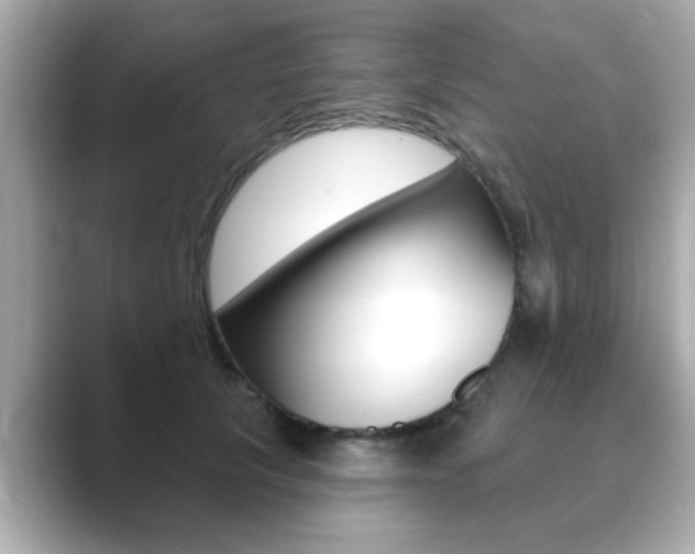X0000089740657200706210905