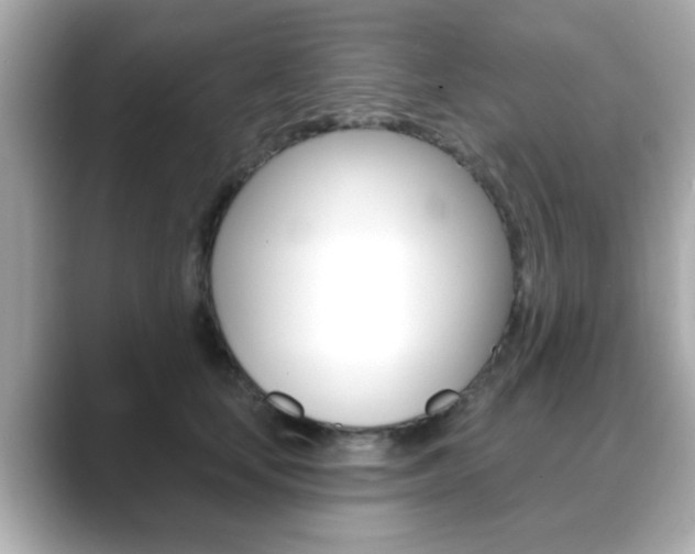X0000089740659200706210905