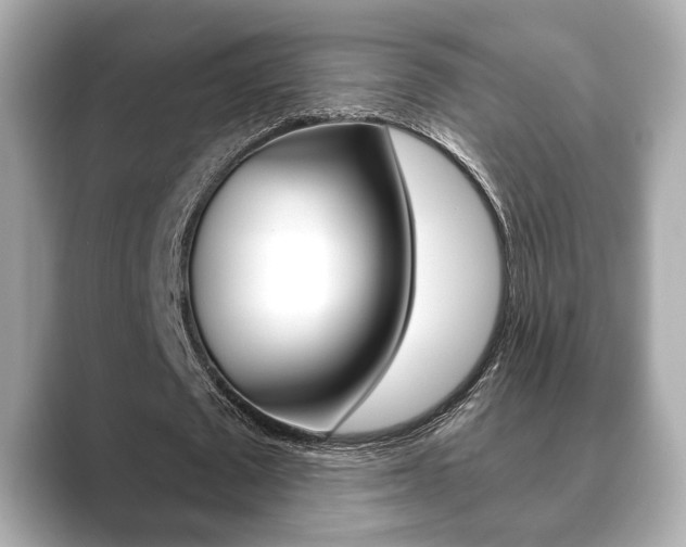 X0000089740673200706210904