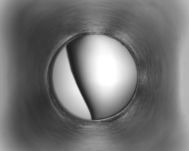 X0000089740674200706210904