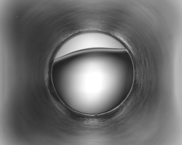 X0000089740677200706210904