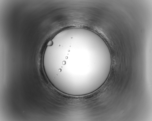 X0000089740679200706210904