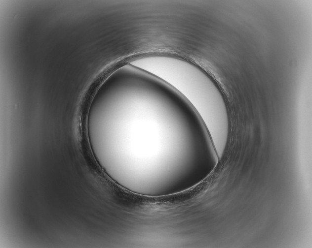 X0000089740680200706210904