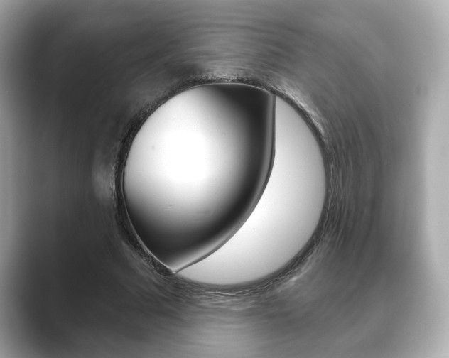 X0000089740681200706210904