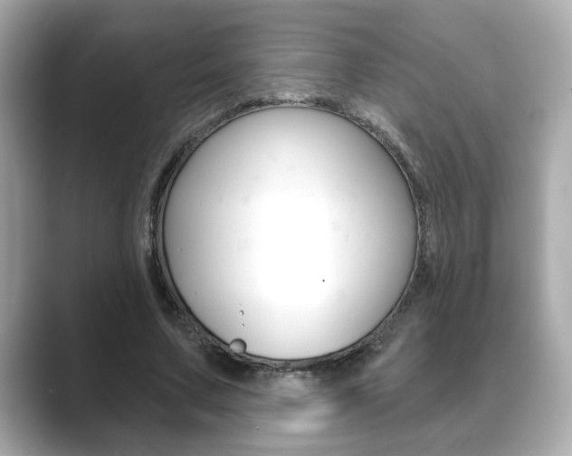 X0000089740683200706210904