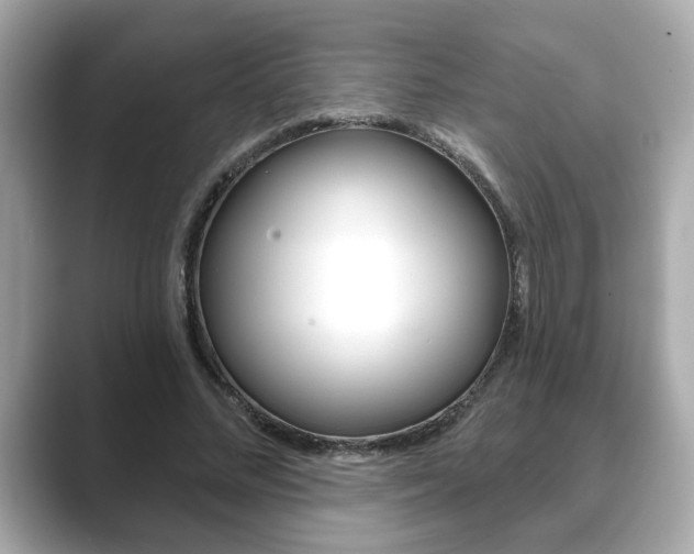 X0000089740684200706210904