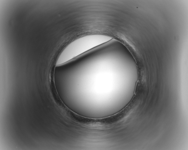 X0000089740685200706210904