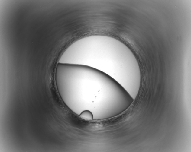 X0000089740687200706210904