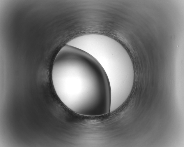 X0000089740689200706210904