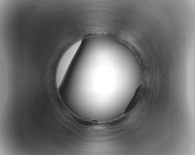 X0000089740692200706210904