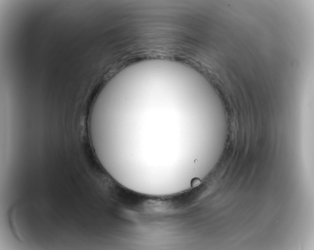 X0000089740699200706210904