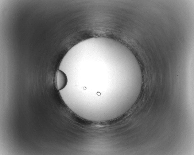 X0000089740706200706210904