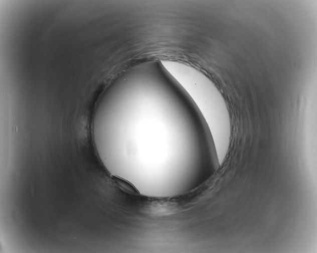X0000089740708200706210904