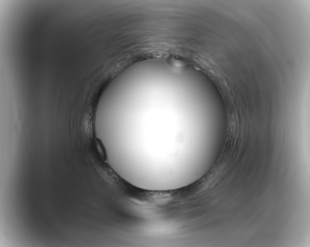 X0000089740719200706210904
