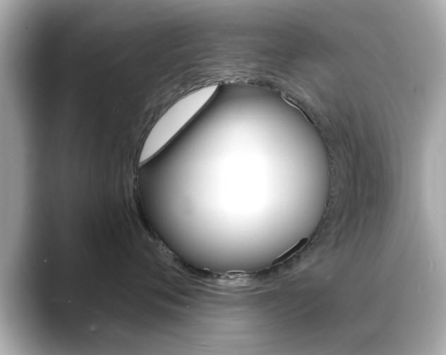 X0000089740720200706210904
