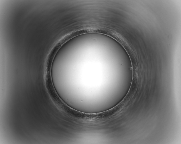X0000089740728200706210903