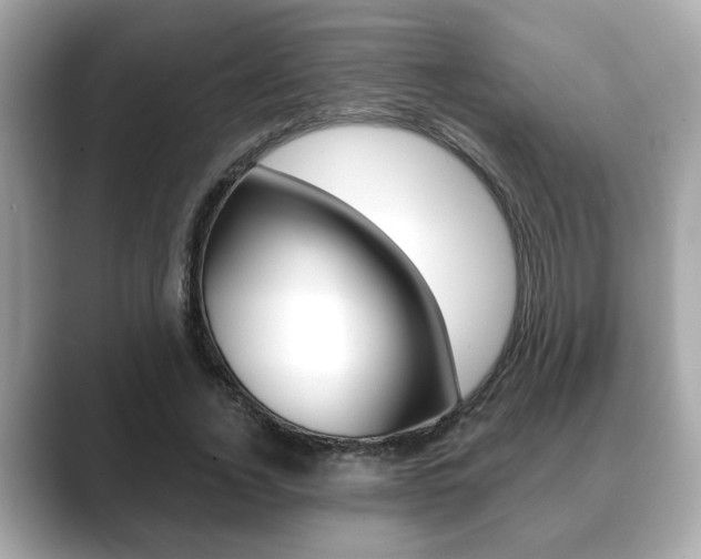 X0000089740732200706210903
