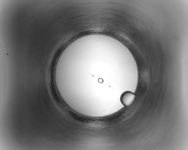 X0000089740734200706210903
