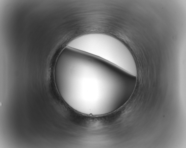 X0000089740735200706210903