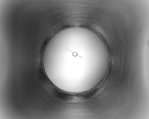 X0000089740737200706210903