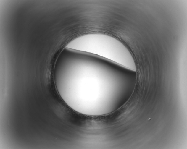X0000089740739200706210903