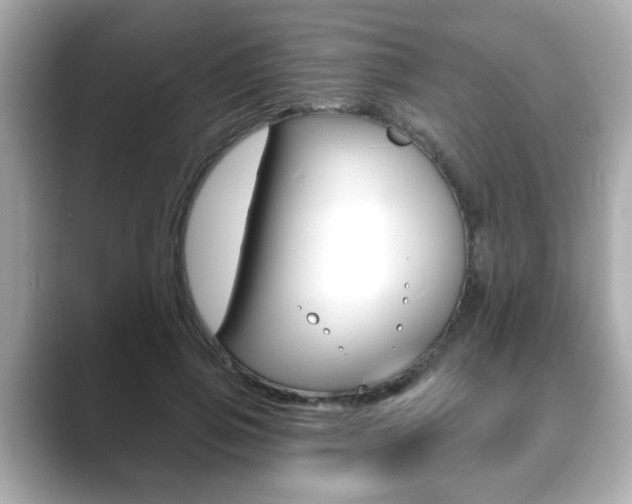 X0000089740741200706210903