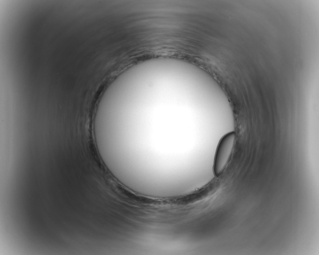 X0000089740745200706210903
