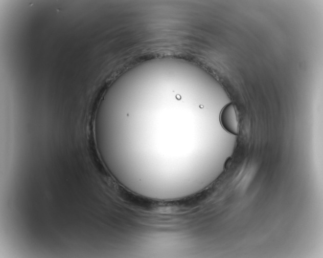 X0000089740746200706210903