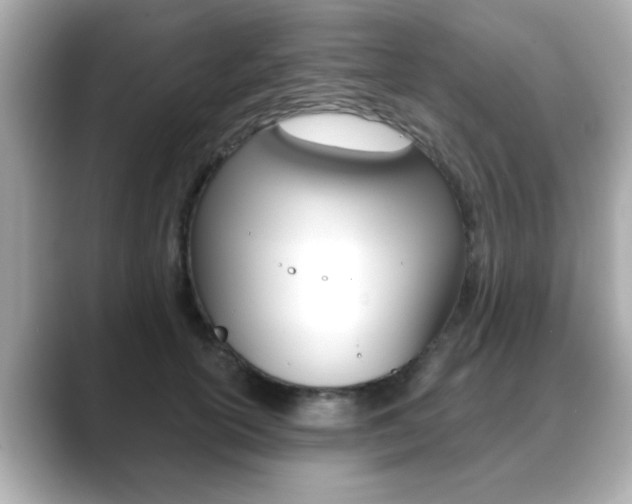 X0000089740754200706210903