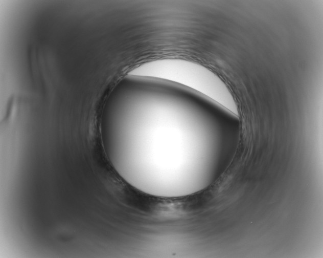 X0000089740760200706210904