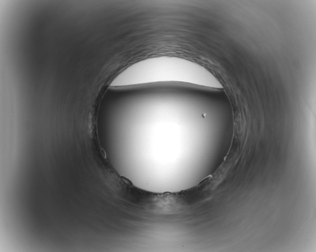 X0000089740762200706210904