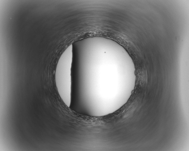 X0000089740770200706210903