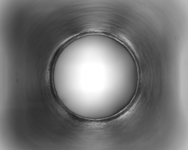 X0000089740779200706210903