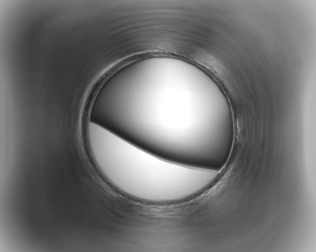 X0000089740780200706210903