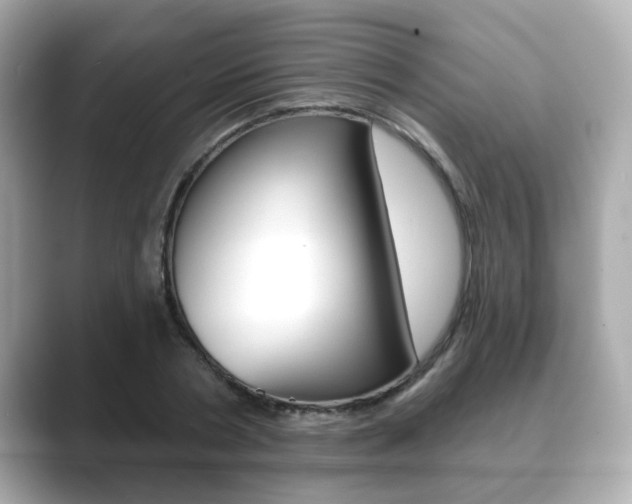 X0000089740786200706210903