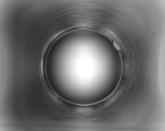 X0000089740788200706210903