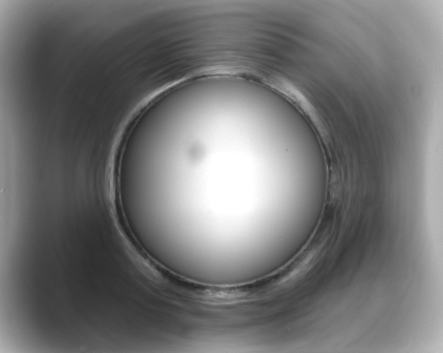 X0000089740795200706210903