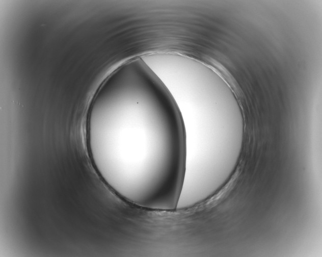 X0000089740812200706210902
