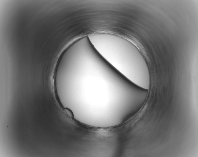 X0000089740814200706210902