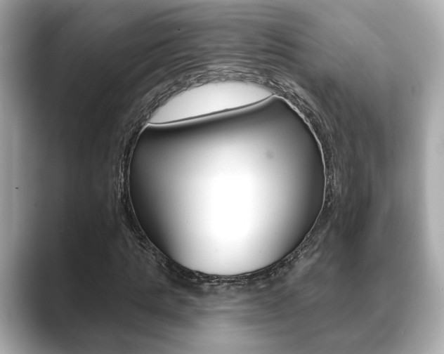 X0000089740821200706210902
