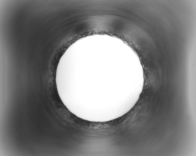 X0000089740824200706210902