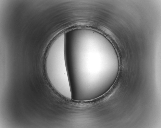 X0000089740829200706210902